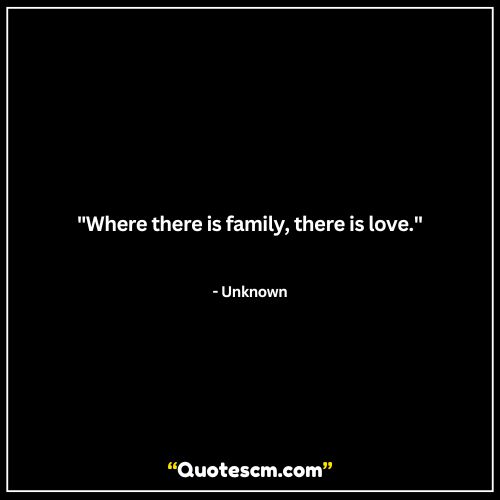 Family support and care quotes